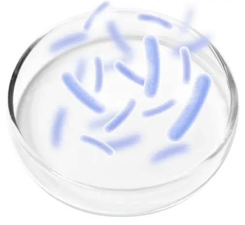 prostapure-Phytosterols